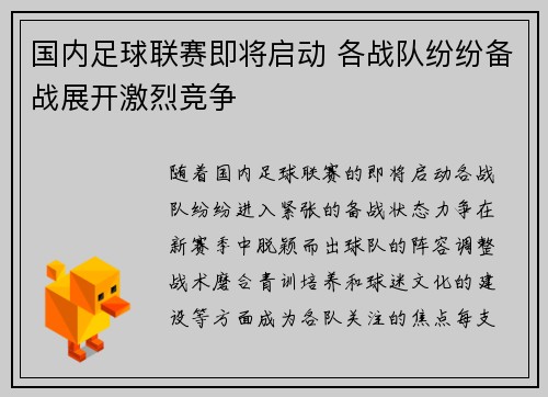 国内足球联赛即将启动 各战队纷纷备战展开激烈竞争