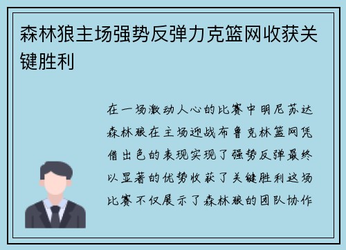 森林狼主场强势反弹力克篮网收获关键胜利