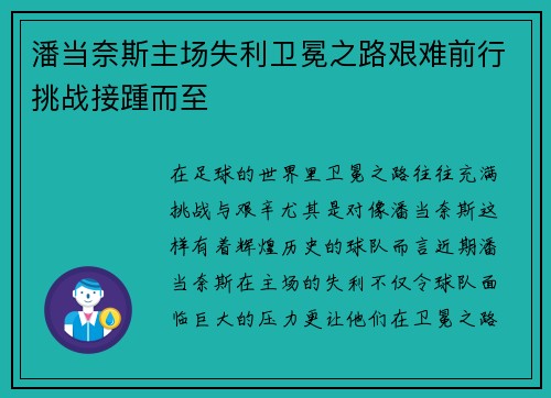 潘当奈斯主场失利卫冕之路艰难前行挑战接踵而至