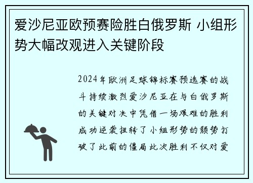 爱沙尼亚欧预赛险胜白俄罗斯 小组形势大幅改观进入关键阶段