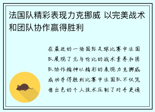 法国队精彩表现力克挪威 以完美战术和团队协作赢得胜利